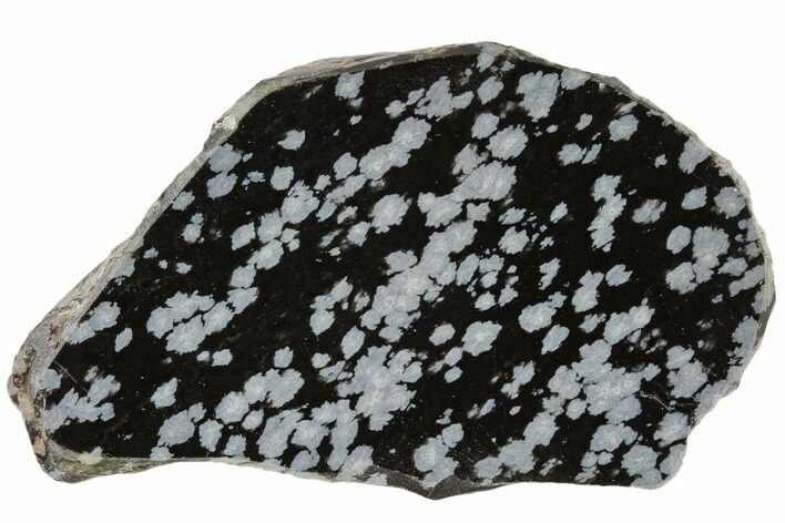 Polished Snowflake Obsidian Section - Utah #114207